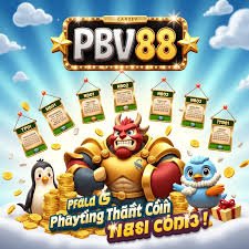 z11 bet