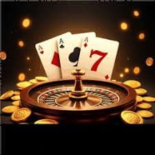 z11 bet