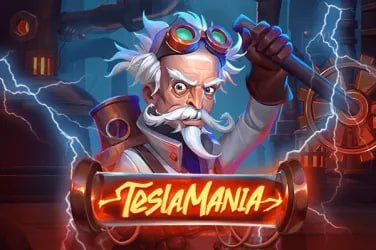 z11 bet