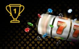 z11 bet